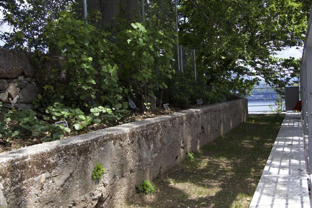 B&B I Carcioni Belgirate Exterior foto